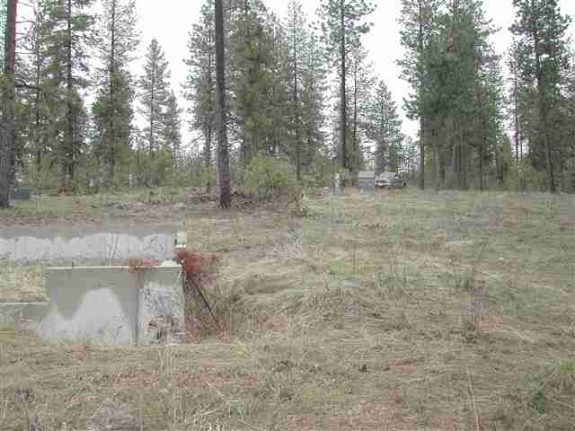 14202 East Nelson Road Elk, WA 99009 - Photo 8 of 9