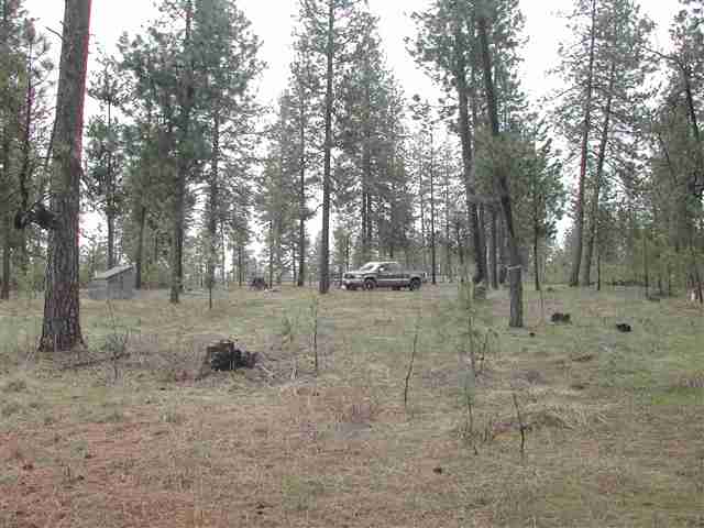 14202 East Nelson Road Elk, WA 99009 - Photo 9 of 9