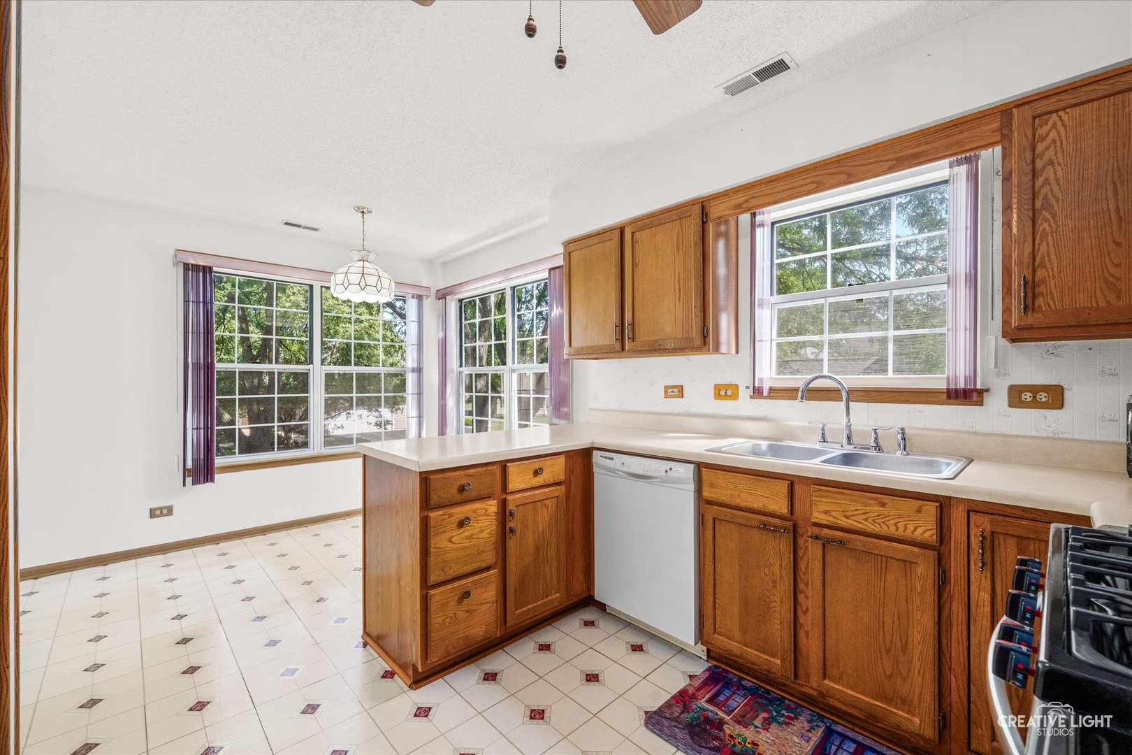 63 Jericho Lane, Unit 63 Batavia, IL 60510 - Photo 7 of 24