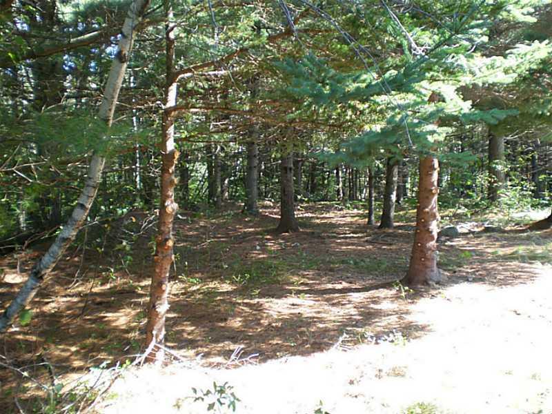 81 Heath Road Milbridge, ME 04658 - Photo 32 of 35 Land.