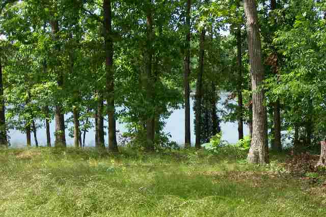 3 B B Street Anderson, SC 29621 - Photo 3 of 4