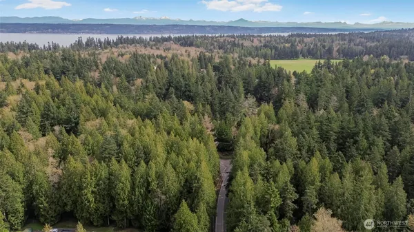 a view of a lake with a yard and mountain in the back