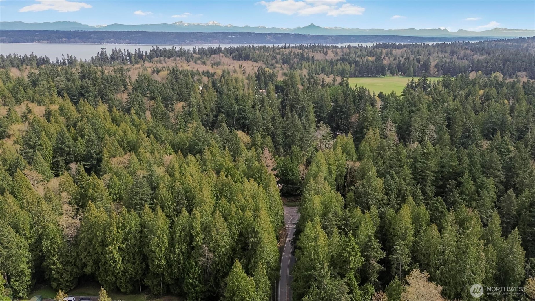 a view of a lake with a yard and mountain in the back