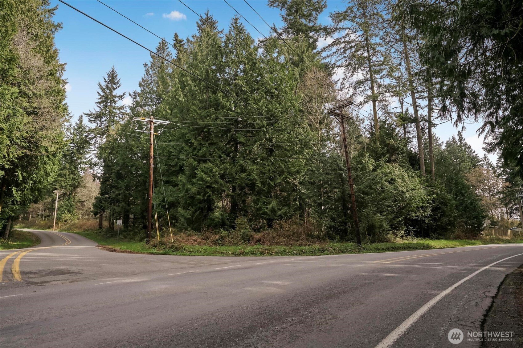 0 Broadmoor Road Camano Island, WA 98282 - Photo 7 of 8 a view of a yard