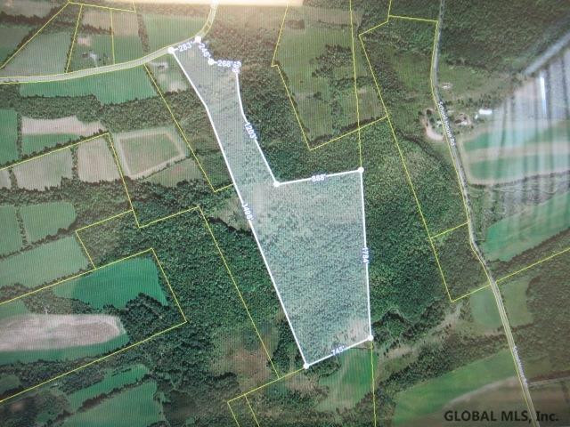 0 Argusville Road Sharon Springs, NY 13459 - Photo 1 of 5 Photo 1