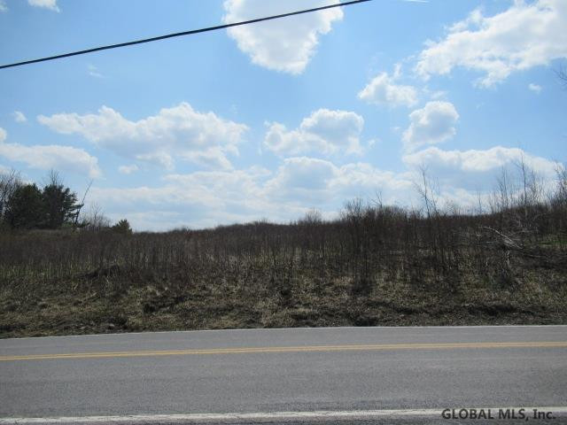0 Argusville Road Sharon Springs, NY 13459 - Photo 2 of 5 Photo 2