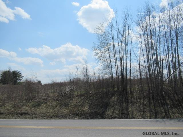 0 Argusville Road Sharon Springs, NY 13459 - Photo 3 of 5 Photo 3