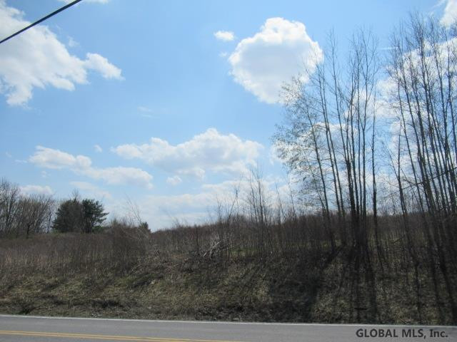 0 Argusville Road Sharon Springs, NY 13459 - Photo 4 of 5 Photo 4