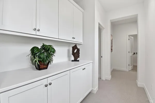 a white kitchen with white cabinets and potted plant