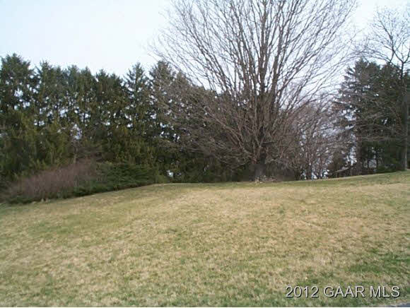 Tbd Overlook Road Waynesboro, VA 22980 - Photo 1 of 4 a view of a yard with a tree