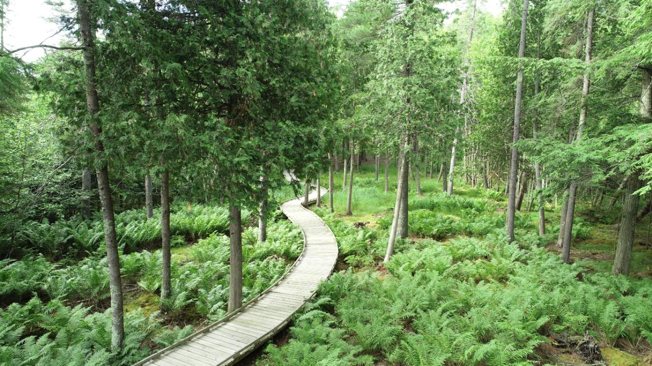 Lot 2 Everett Road Eagle River, WI 54521 - Photo 12 of 30 Gallery Image 12
