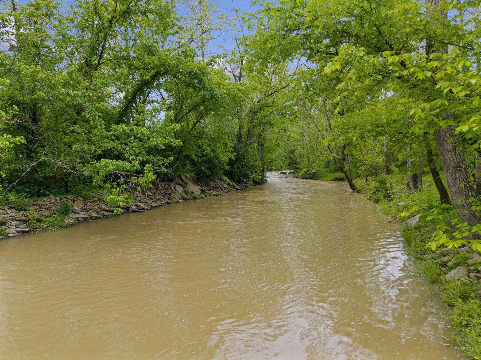 925 Lockmier Road Augusta, KY 41002 - Photo 12 of 50