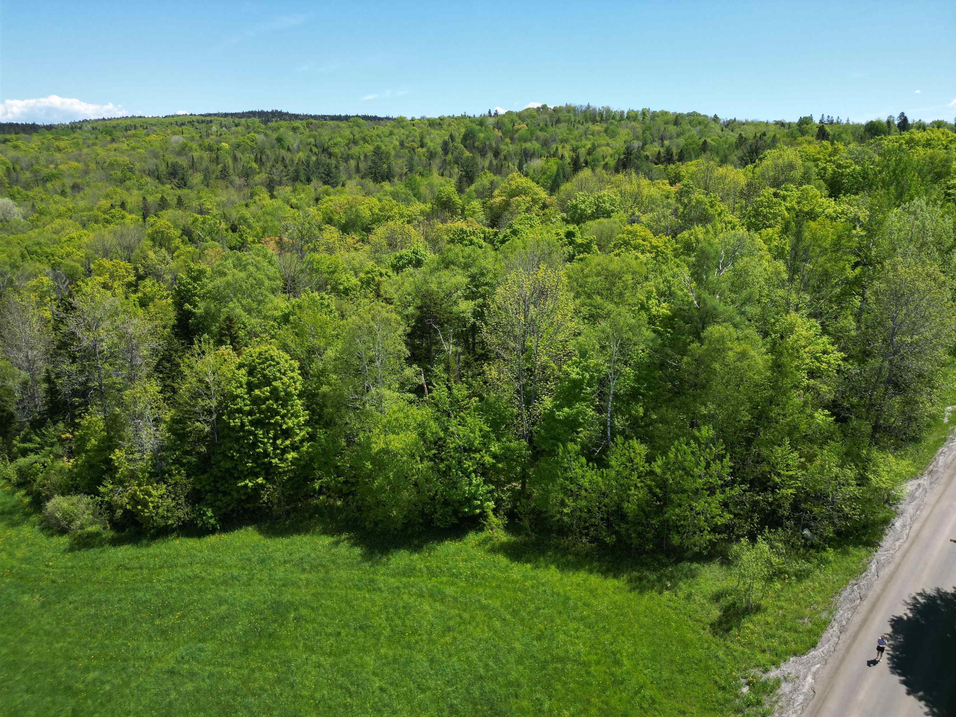 0 Danville Hill Road Cabot, VT 05647 - Photo 6 of 6