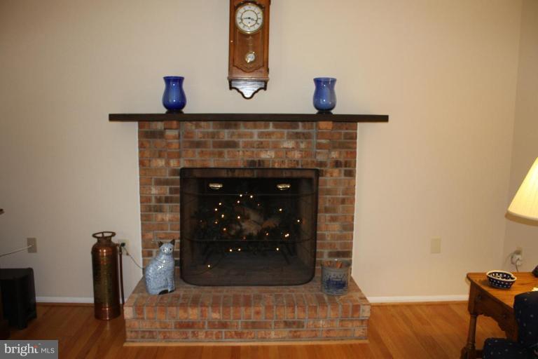 10169 Wavell Road Fairfax, VA 22032 - Photo 12 of 30 Wood burning fireplace in Family Room