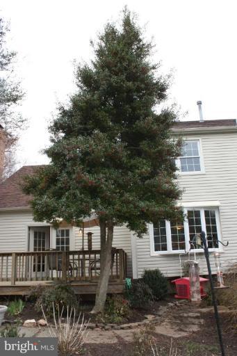 10169 Wavell Road Fairfax, VA 22032 - Photo 16 of 30 Holly Tree in back yard near deck