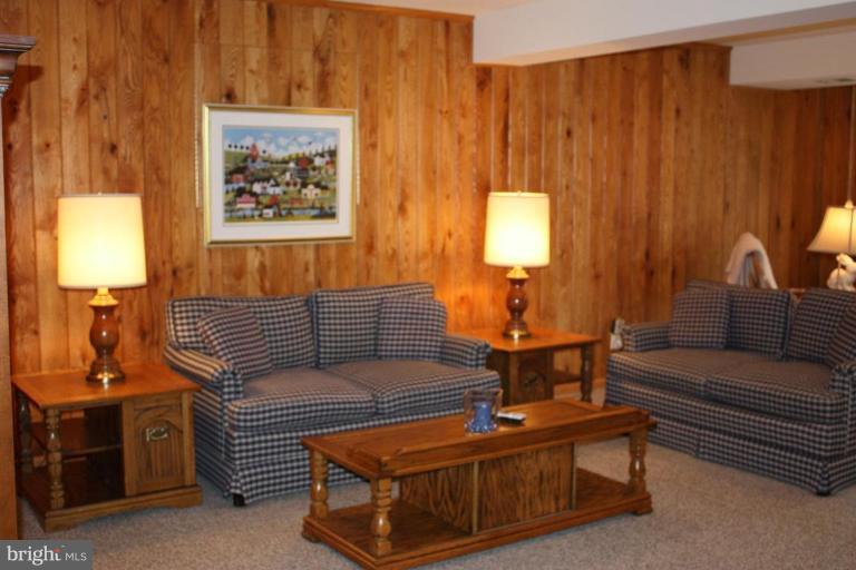 10169 Wavell Road Fairfax, VA 22032 - Photo 20 of 30 Sitting Area in Rec Room