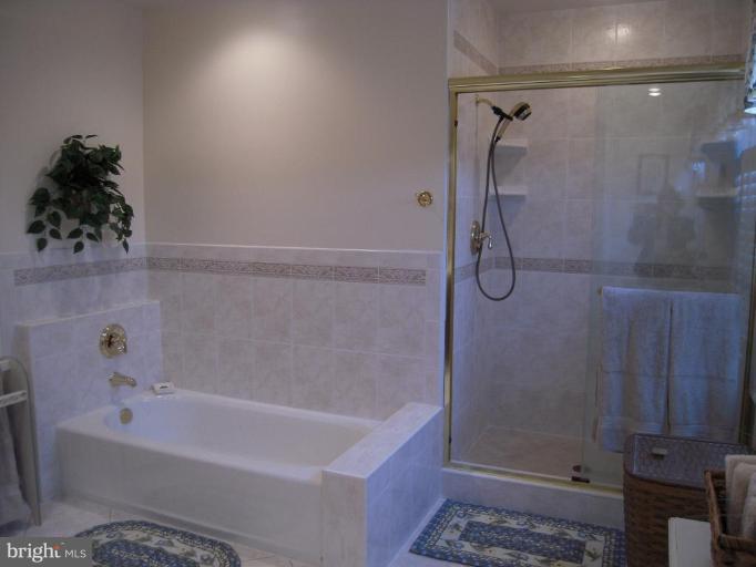 10169 Wavell Road Fairfax, VA 22032 - Photo 27 of 30 Tiled Master Shower & Tub