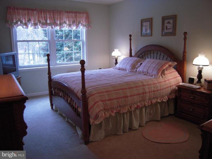 10169 Wavell Road Fairfax, VA 22032 - Photo 28 of 30 Spacious 2nd Bedroom w big closet & view of pool
