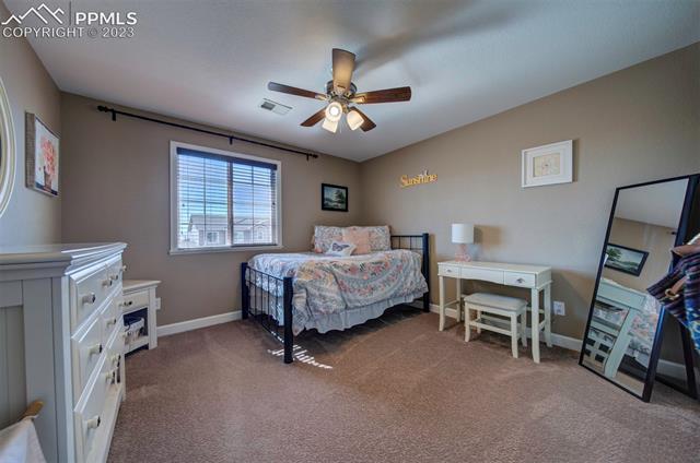 848 Spectrum Loop Colorado Springs, CO 80921 - Photo 25 of 34 Bedroom 2 upper