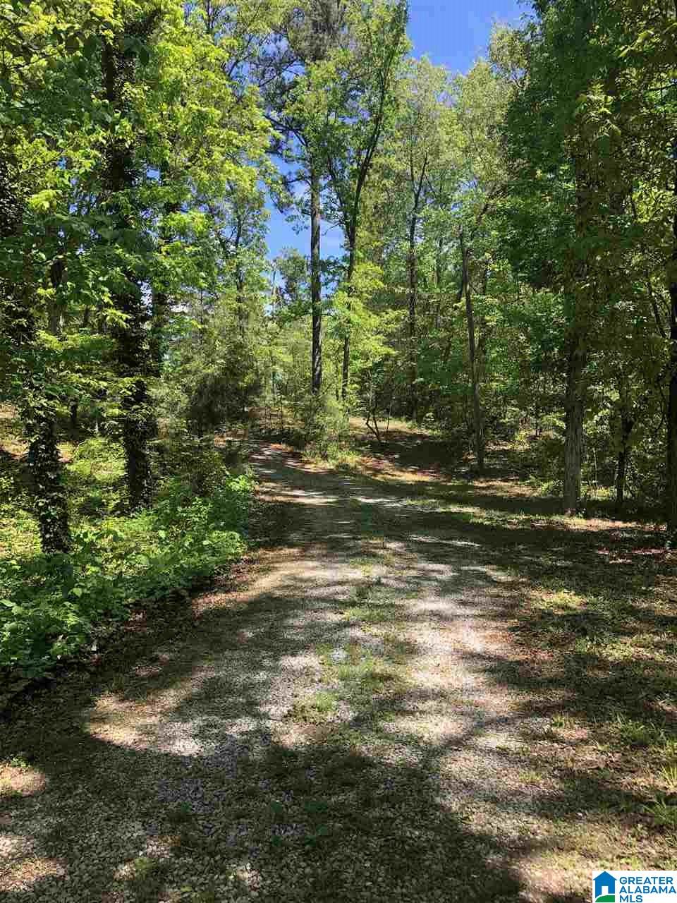 111 County Road 111 Montevallo, AL 35115 - Photo 21 of 46