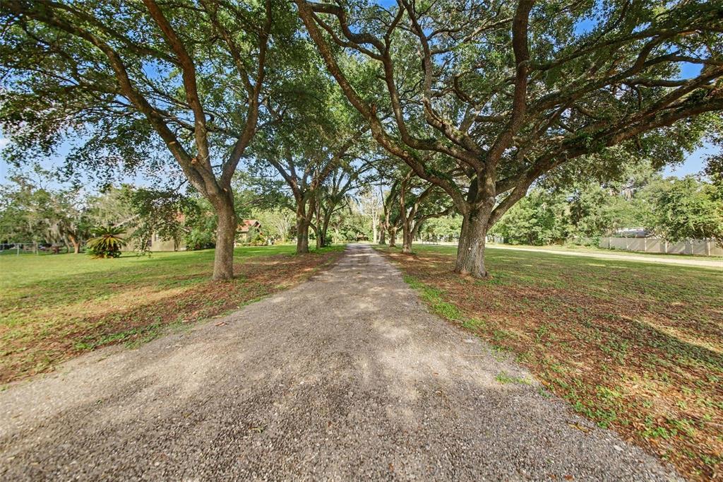10073 Lake Meadow Road Ocoee, FL 34761 - Photo 4 of 9