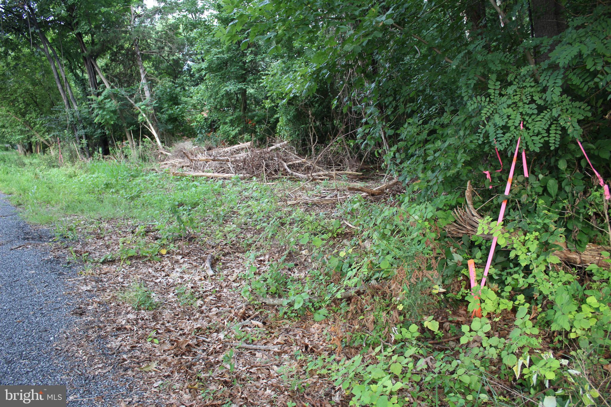 Sugar Maple Road Front Royal, VA 22630 - Photo 11 of 18 Corner of lot