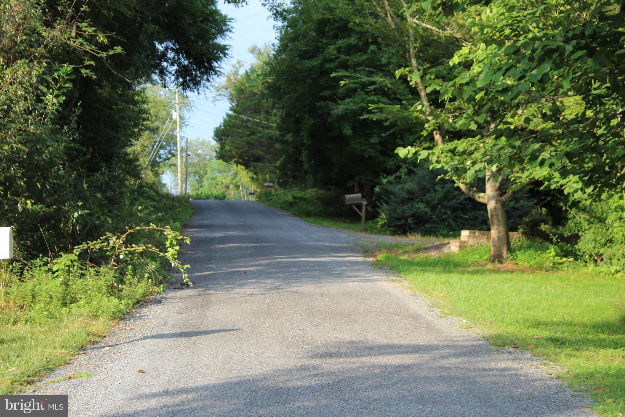 Sugar Maple Road Front Royal, VA 22630 - Photo 12 of 18 Road in front of lot