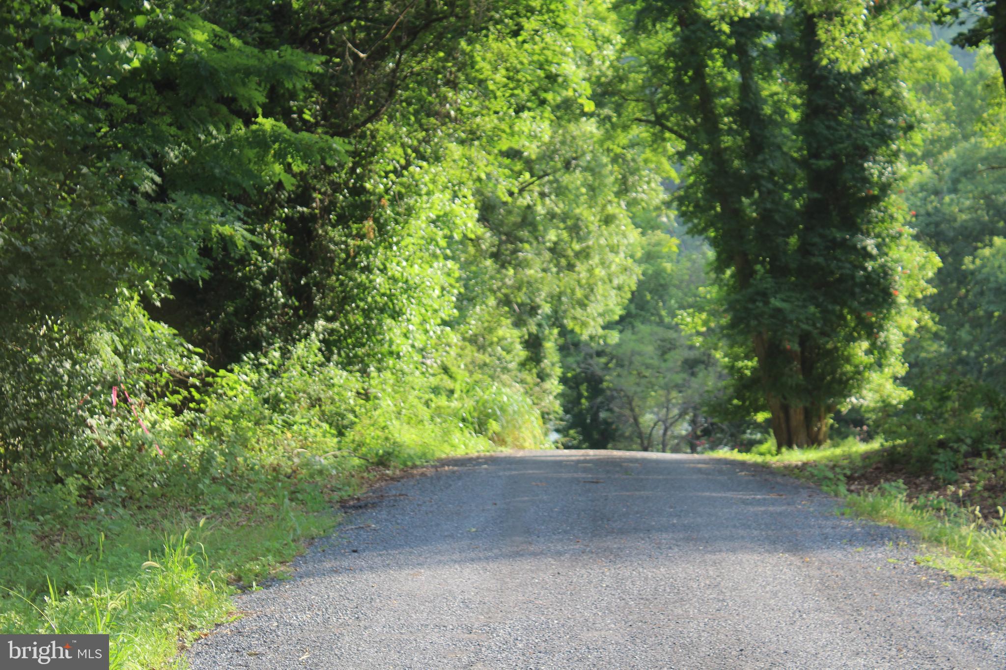 Sugar Maple Road Front Royal, VA 22630 - Photo 13 of 18 Road in front of lot