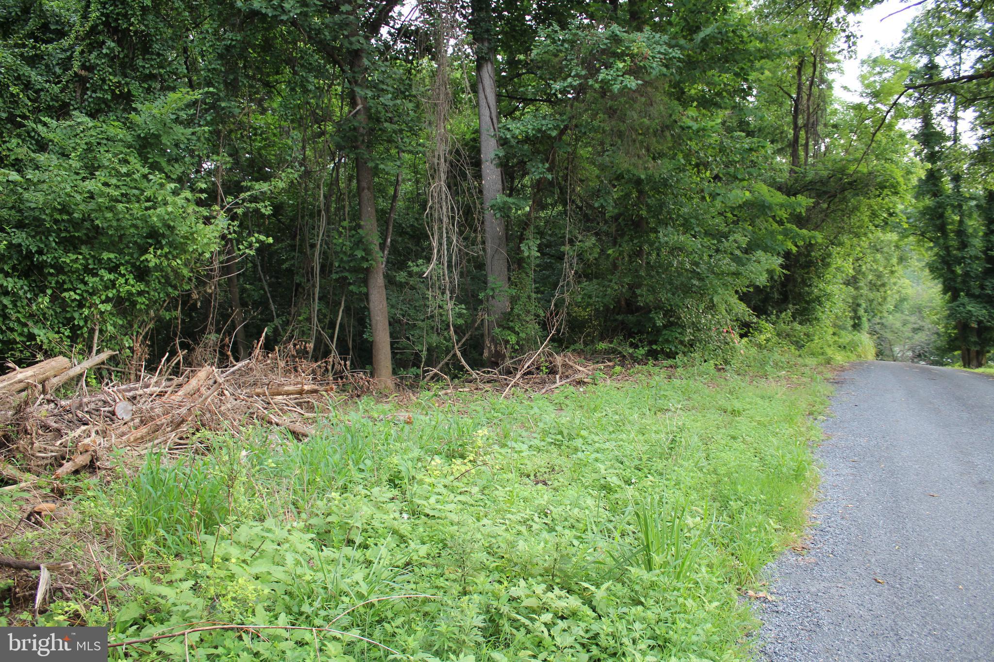 Sugar Maple Road Front Royal, VA 22630 - Photo 3 of 18 Corners are flagged