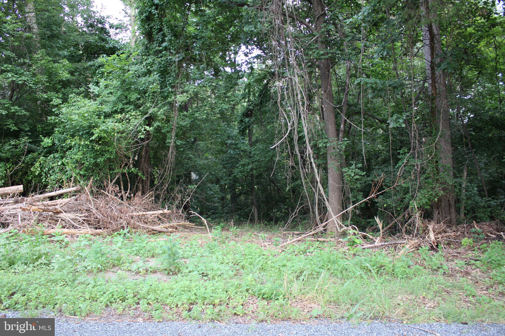 Sugar Maple Road Front Royal, VA 22630 - Photo 4 of 18 Septic work completed and transfer package paid