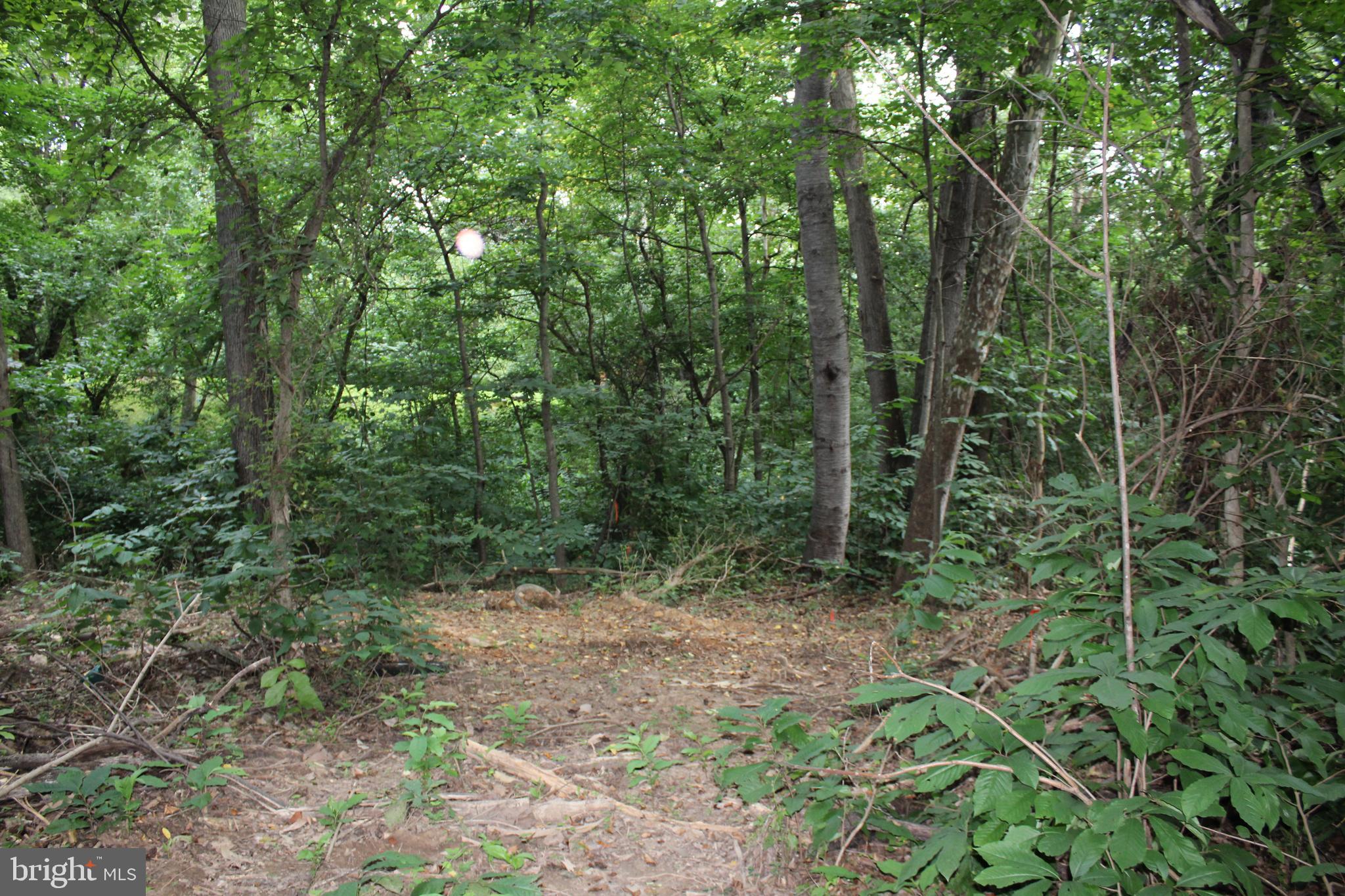 Sugar Maple Road Front Royal, VA 22630 - Photo 5 of 18 Envision your dream home