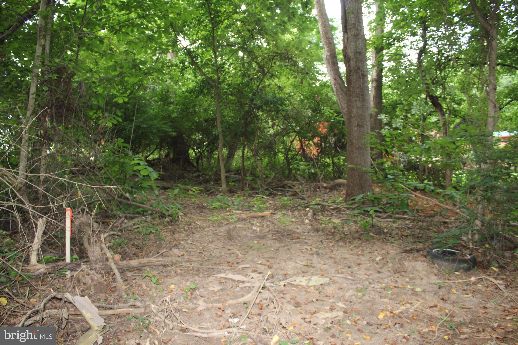 Sugar Maple Road Front Royal, VA 22630 - Photo 7 of 18 Envision your dream home