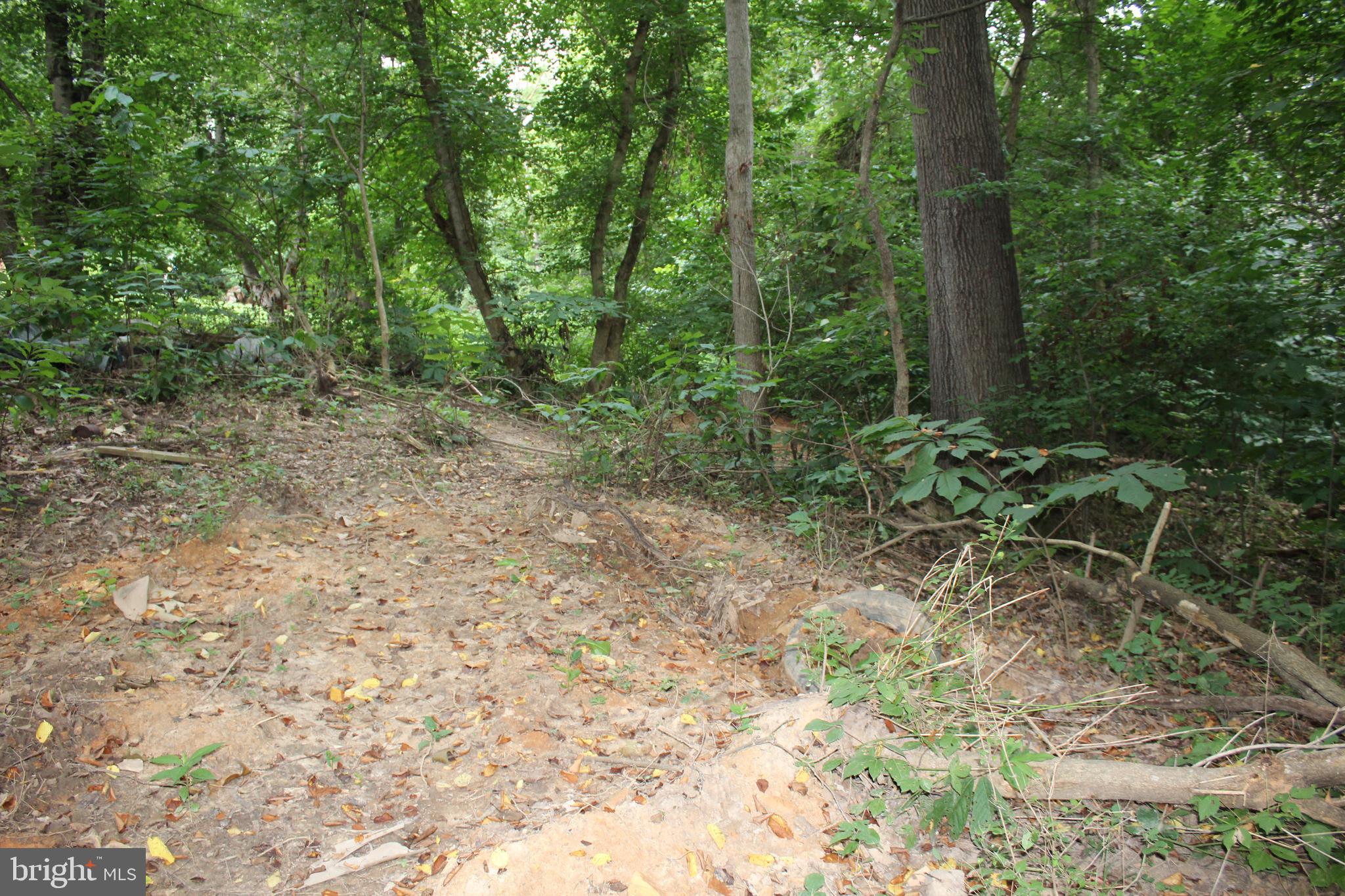 Sugar Maple Road Front Royal, VA 22630 - Photo 8 of 18 Envision your dream home