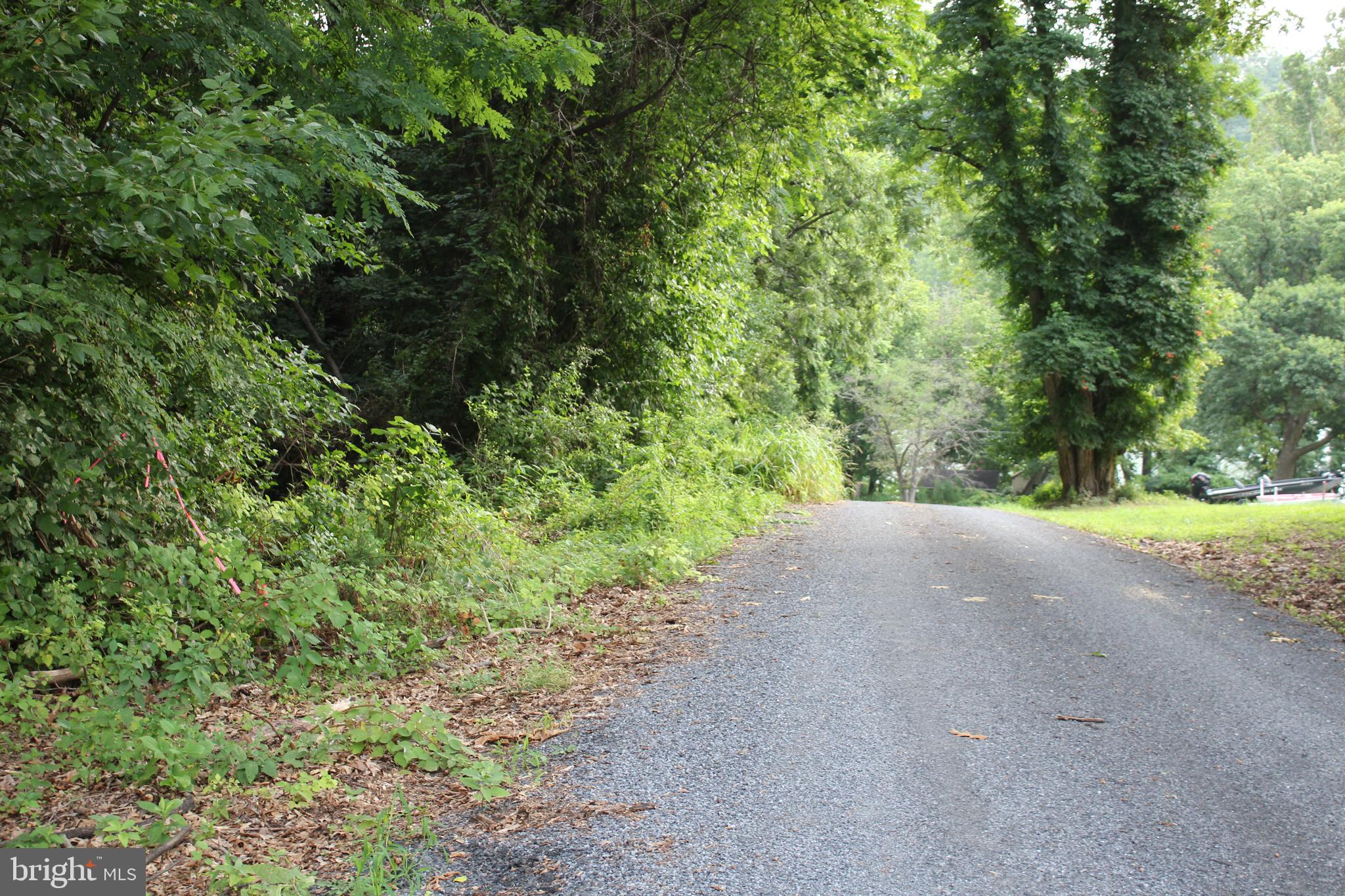 Sugar Maple Road Front Royal, VA 22630 - Photo 10 of 18 Road in front of lot