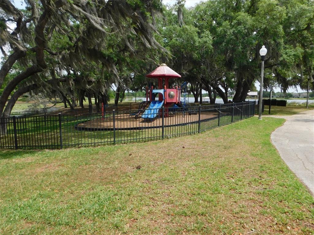 13836 Bluebird Pond Road Windermere, FL 34786 - Photo 29 of 31