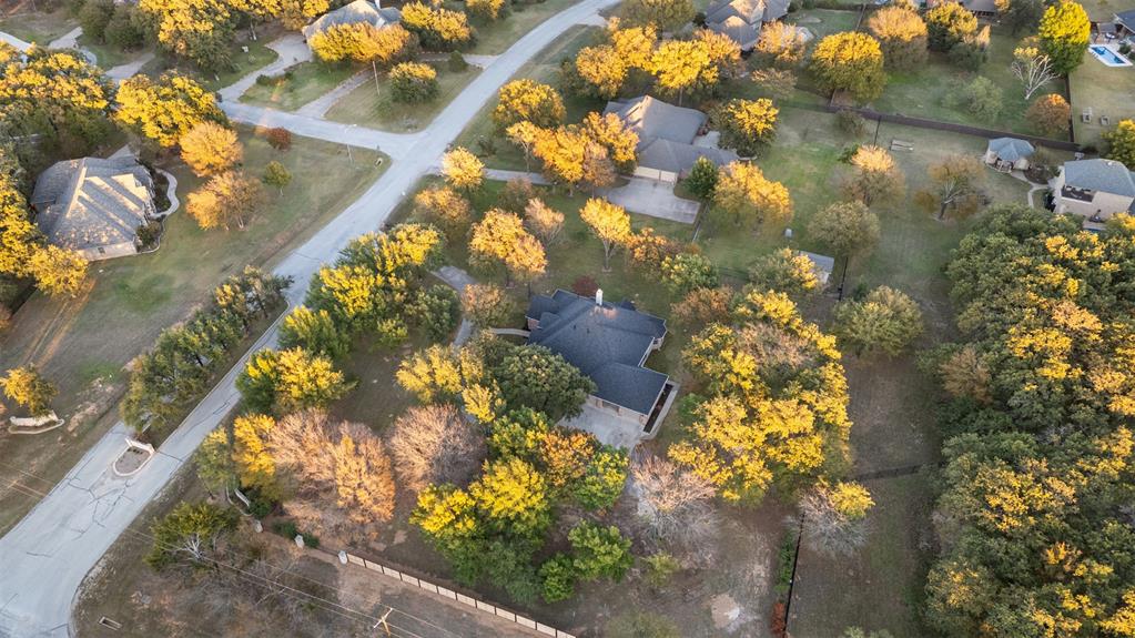 615 West Aurora Vista Trail Aurora, TX 76078 - Photo 31 of 40 a view of a tree with a yard