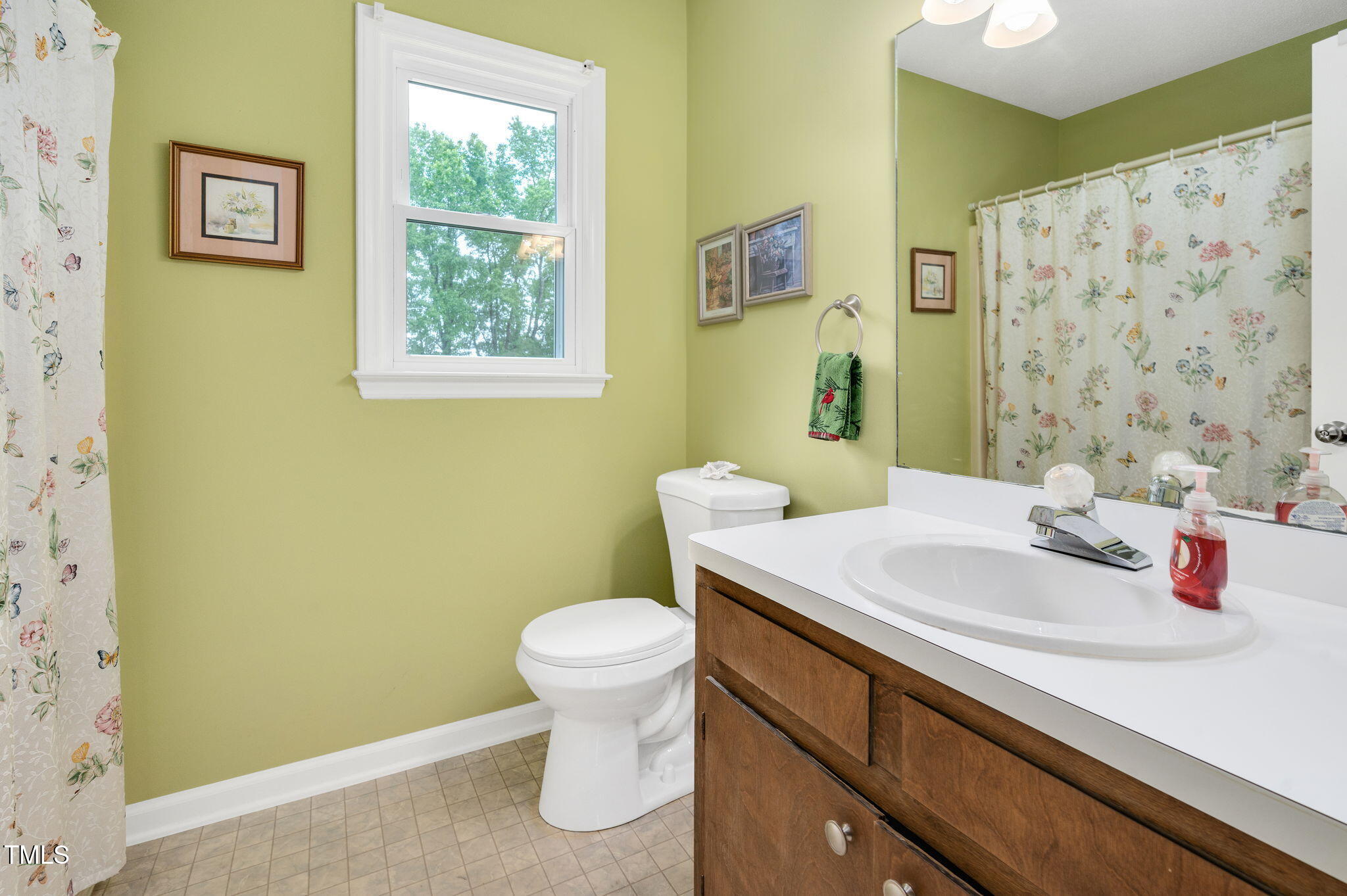 124 Windmere Drive Angier, NC 27501 - Photo 29 of 39 a bathroom with a sink and a toilet