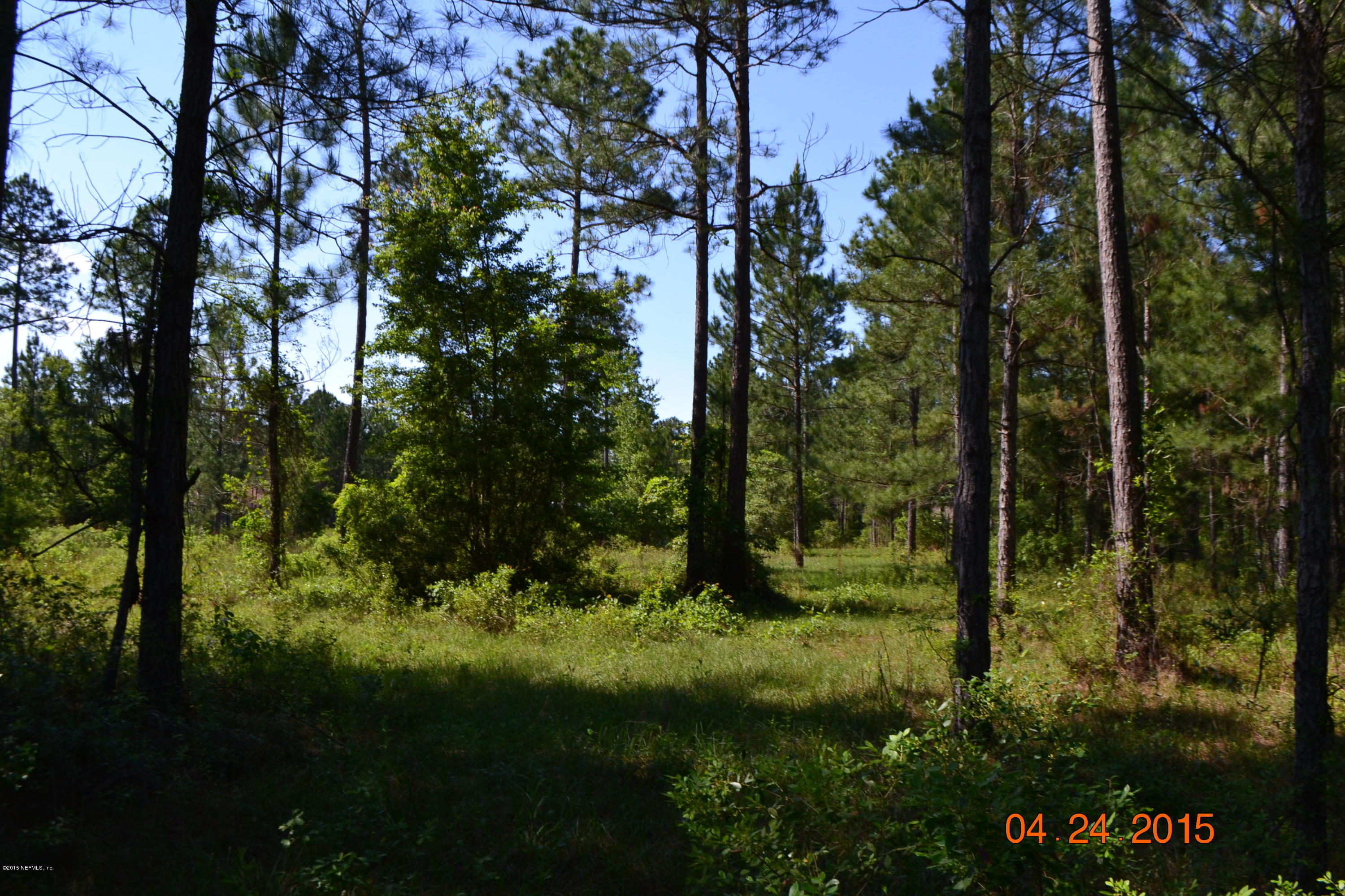 0 Trips Way Macclenny, FL 32063 - Photo 3 of 11 PROPERTY