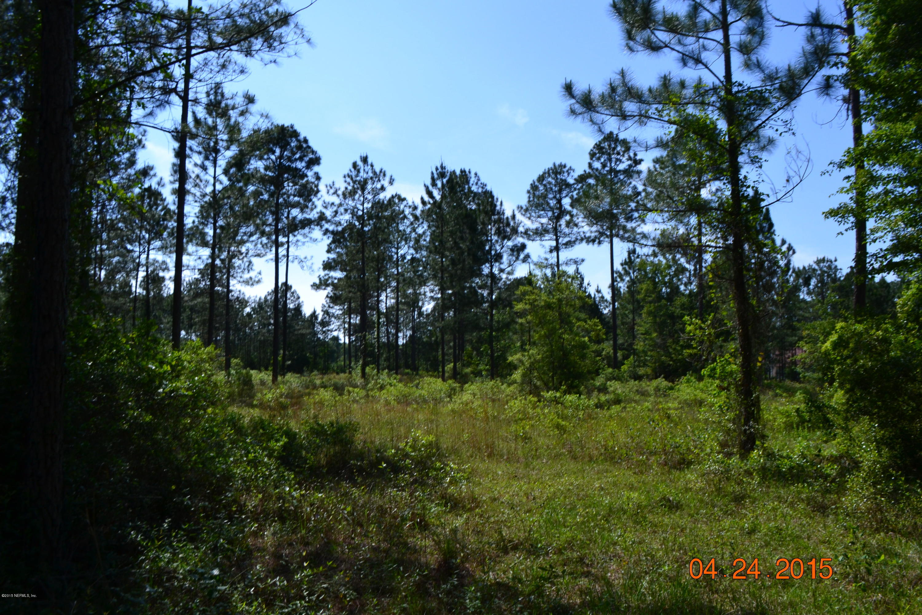 0 Trips Way Macclenny, FL 32063 - Photo 6 of 11 PROPERTY
