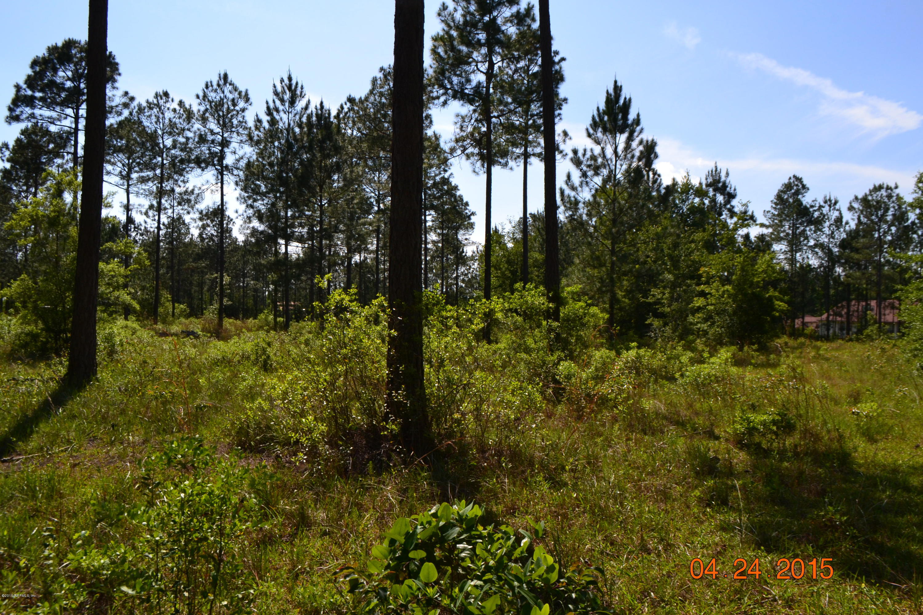 0 Trips Way Macclenny, FL 32063 - Photo 9 of 11 PROPERTY