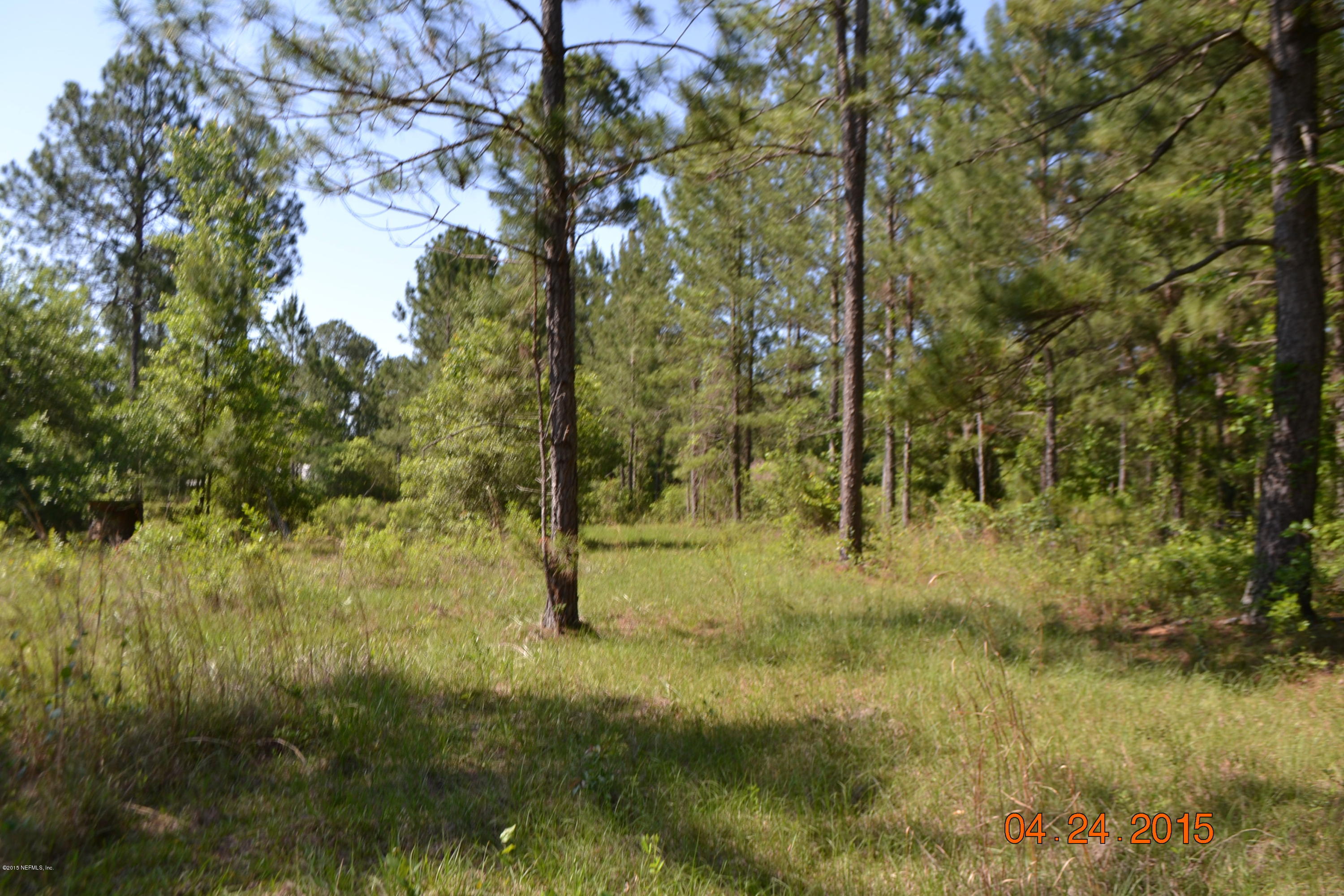 0 Trips Way Macclenny, FL 32063 - Photo 10 of 11 PROPERTY
