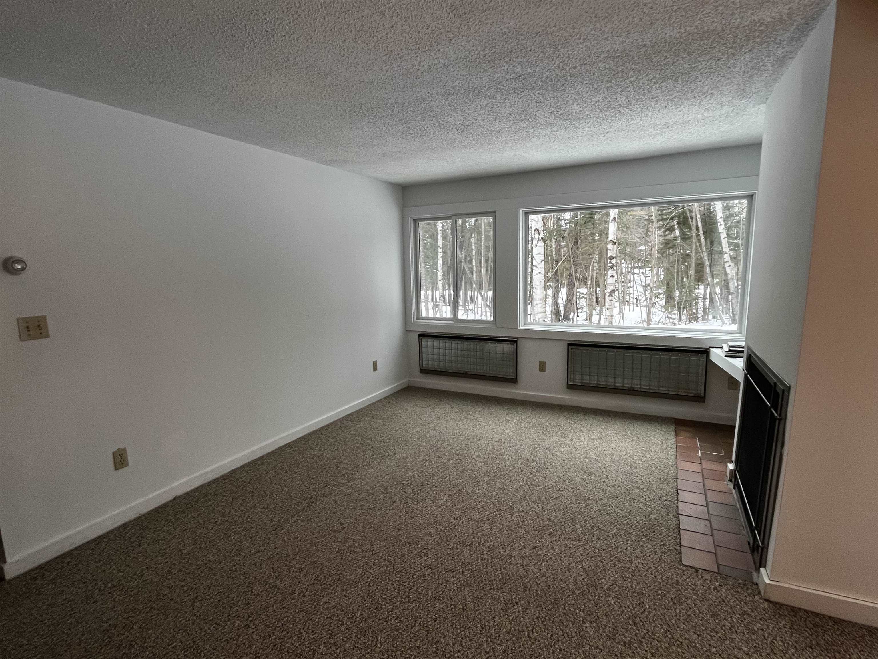 55 Village Road, Unit 3 Waterville Valley, NH 03215 - Photo 6 of 19