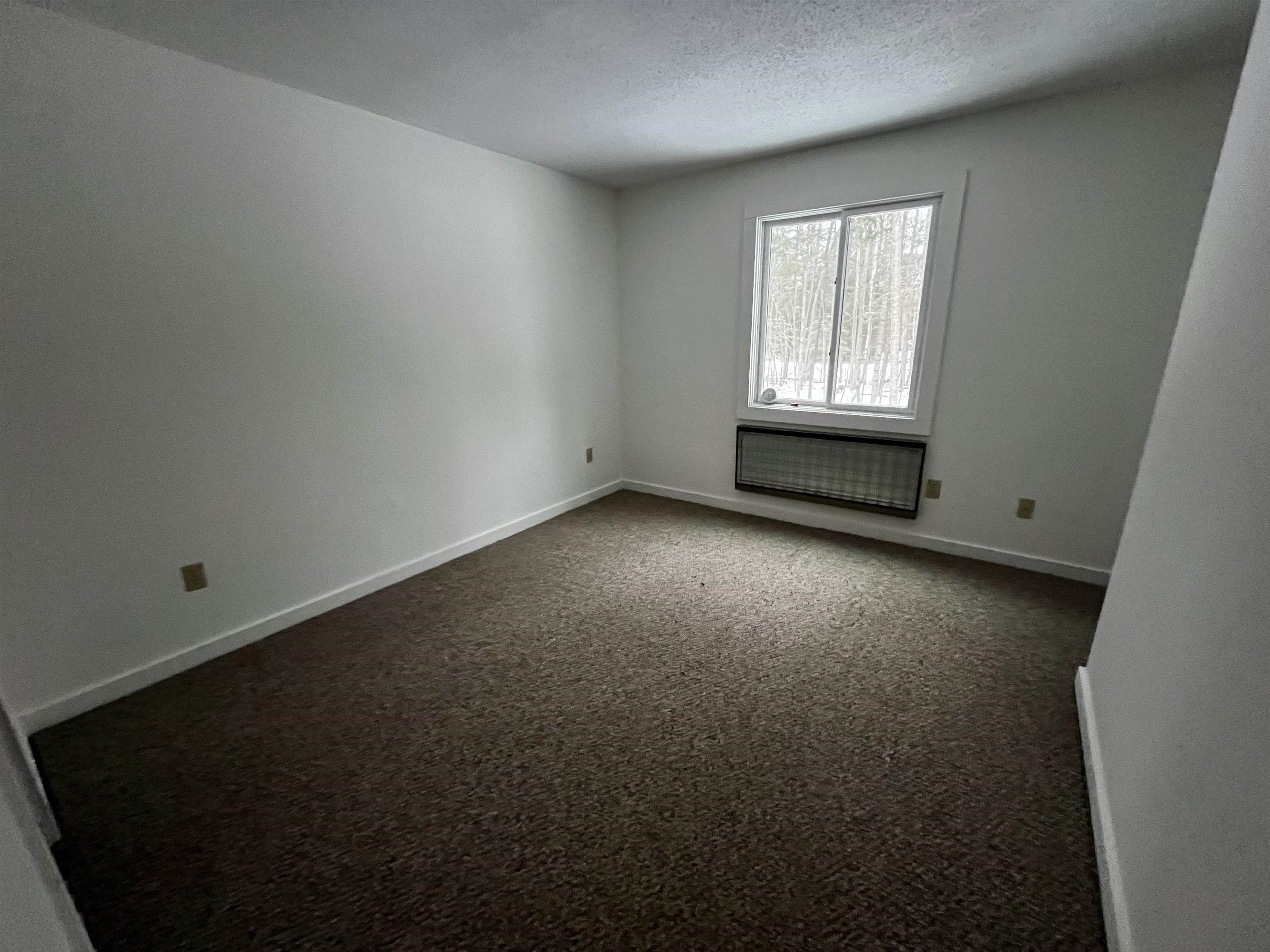 55 Village Road, Unit 3 Waterville Valley, NH 03215 - Photo 10 of 19