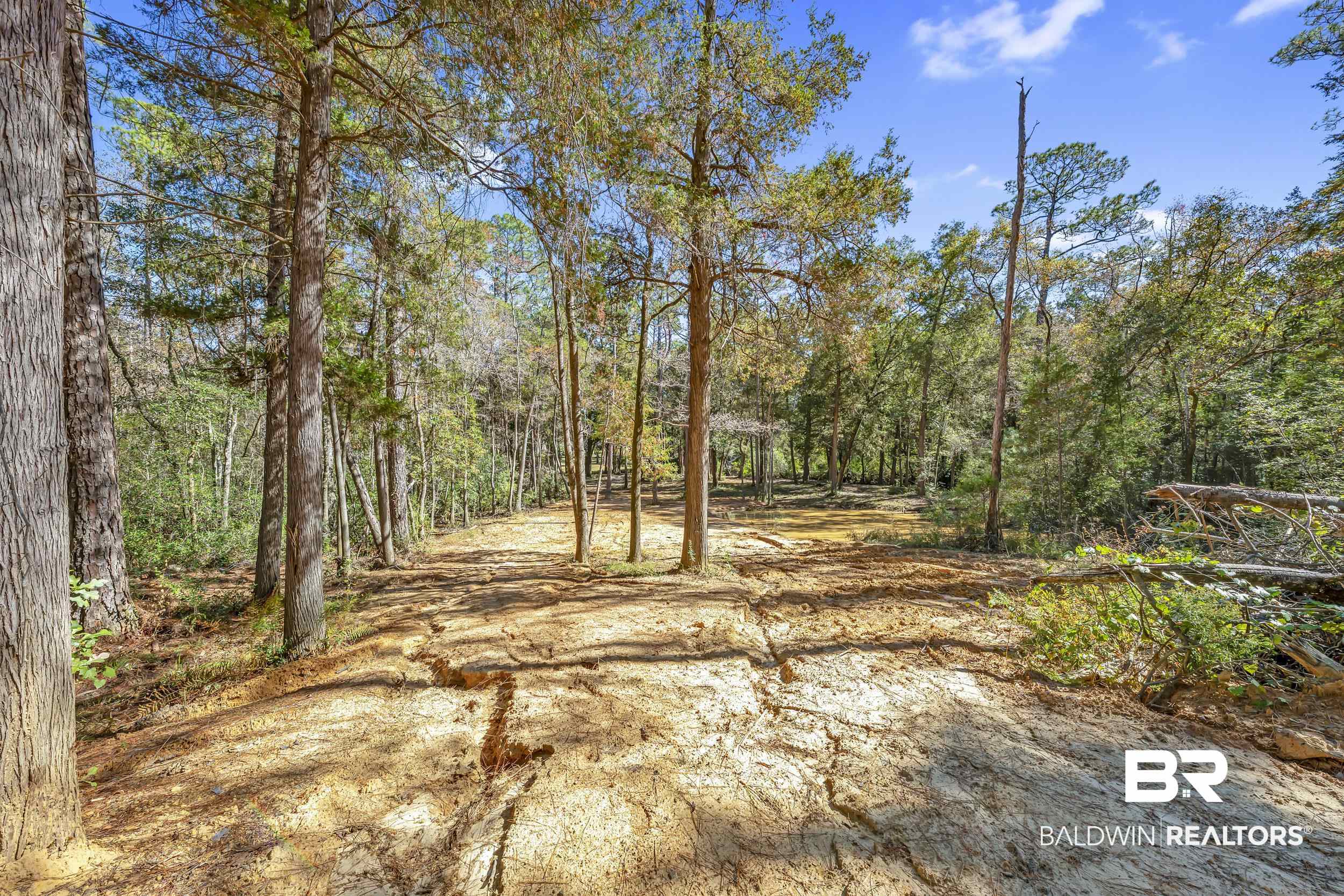 11010 Coleman Lane Elberta, AL 36530 - Photo 11 of 23
