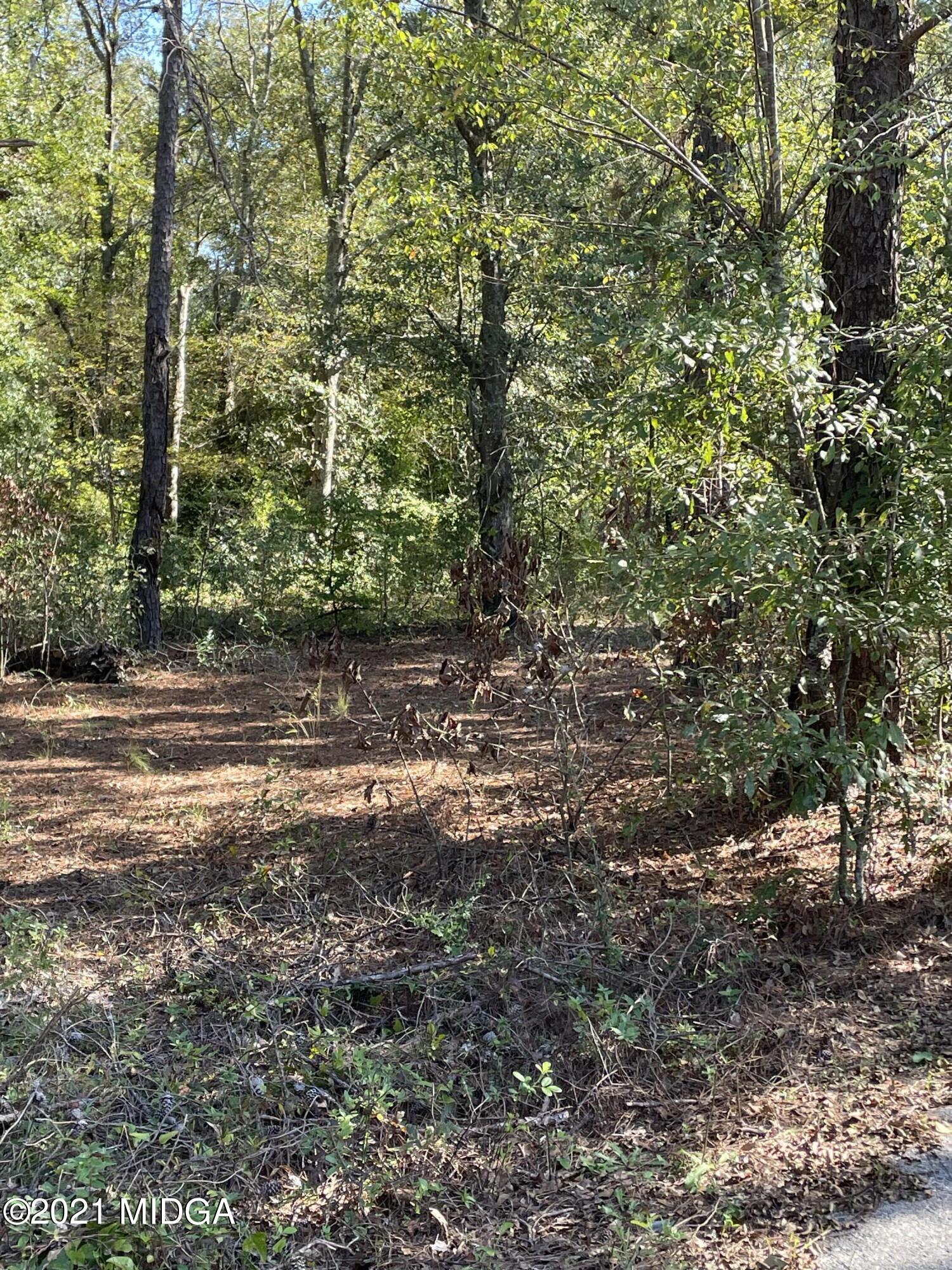 1930 Griffin Road Macon, GA 31216 - Photo 1 of 2 IMG_0277