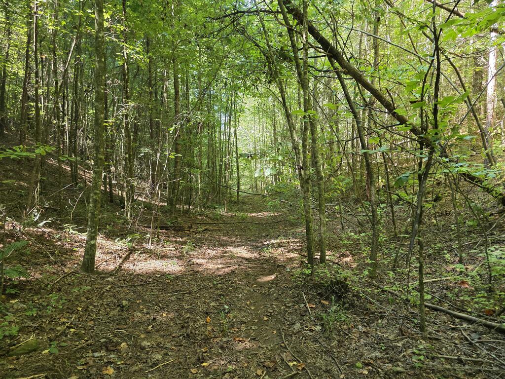 34.98 Hall Road Farner, TN 37333 - Photo 42 of 45 Gallery Image 42