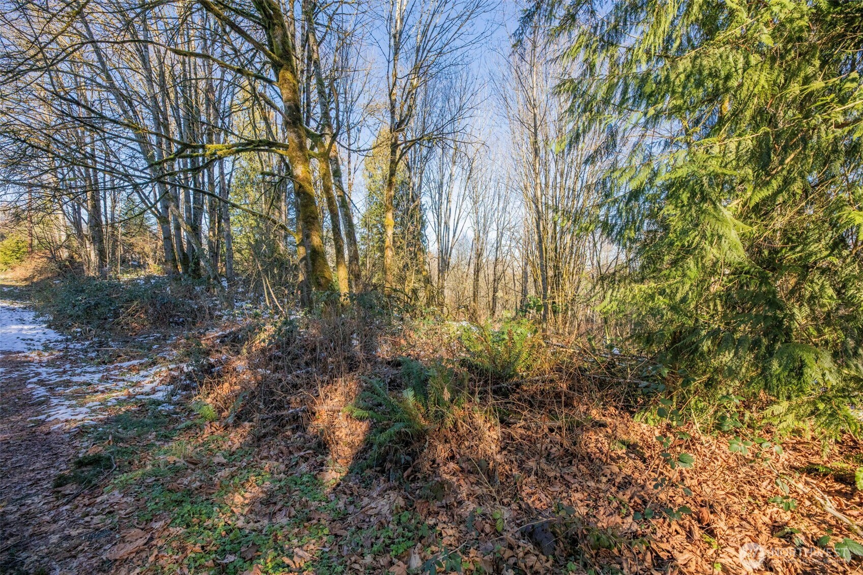 218-xx East Lost Lake Road Snohomish, WA 98296 - Photo 6 of 20 a view of a yard with plants and trees