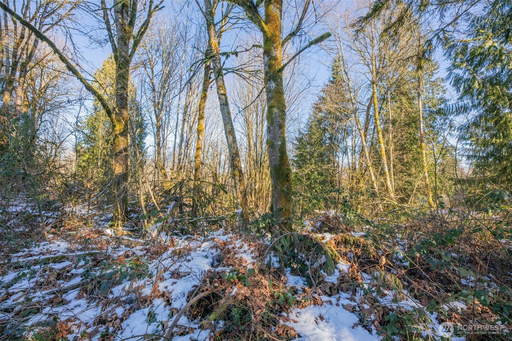 218-xx East Lost Lake Road Snohomish, WA 98296 - Photo 7 of 20 a view of a yard