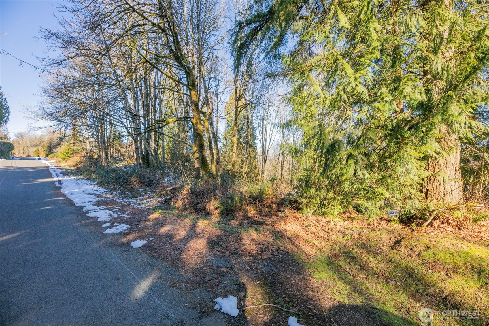 218-xx East Lost Lake Road Snohomish, WA 98296 - Photo 8 of 20 a view of backyard with green space