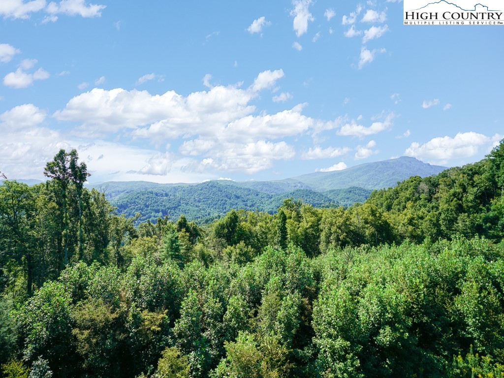 155 Falcon Trace, Unit C331 Boone, NC 28607 - Photo 13 of 30 Gallery Image 13